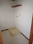 PA290053.JPG